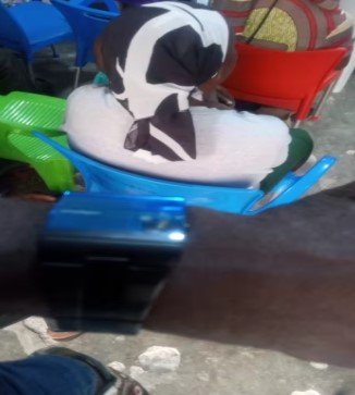 Image #1 from ifeanyichukwu Joseph Mgbeafulike